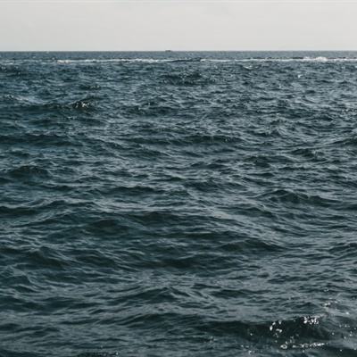 激流快艇4游戏